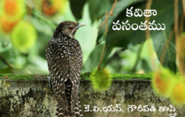 కవితా వసంతము