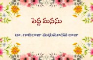 పెద్ద మనసు