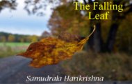 The Falling Leaf