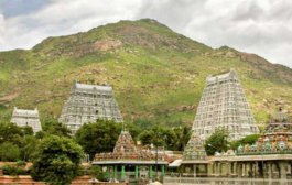 తిరువణ్ణామలై, షోలింగర్ యాత్ర