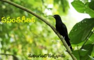 వసంతగీతిక