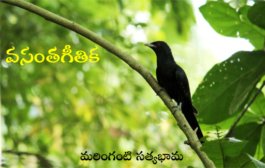 వసంతగీతిక