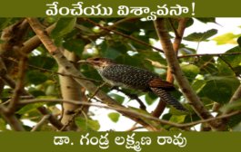 వేంచేయు విశ్వావసా!