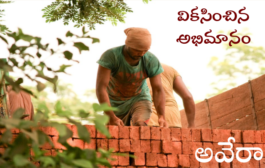 వికసించిన అభిమానం