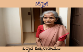 సర్‌ప్రైజ్