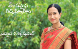 అందమైన పద్మవ్యూహం