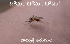 దోమ.. దోమ.. దోమ!