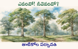 ఎవరివో! నీవెవరివో?