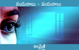 నయనాలు - పయనాలు
