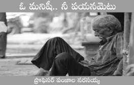 ఓ మనిషీ.. నీ పయనమెటు