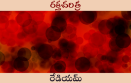 రక్తచరిత్ర