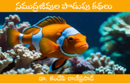 సముద్రజీవుల పొడుపు కథలు