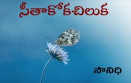 సీతాకోకచిలుక