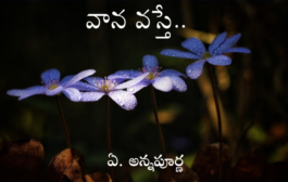 వాన వస్తే..