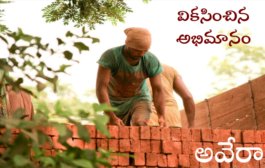 వికసించిన అభిమానం