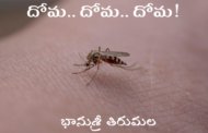 దోమ.. దోమ.. దోమ!