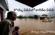 కొయ్య పడవలో కాగితం పడవ