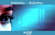 నయనాలు - పయనాలు