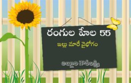 రంగుల హేల 55: ఇల్లు మారే వైభోగం