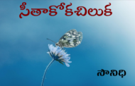 సీతాకోకచిలుక