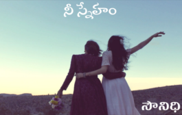 నీ స్నేహం