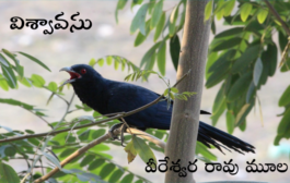 విశ్వావసు