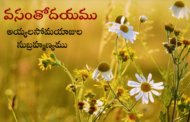 వసంతోదయము