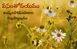 వసంతోదయము