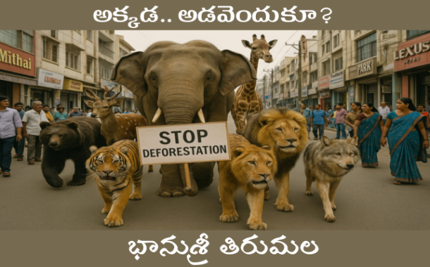 అక్కడ.. అడవెందుకూ?
