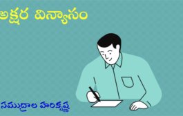 అక్షర విన్యాసం