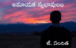అమాయక స్వభావులం