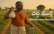 చద్ది ముల్లె