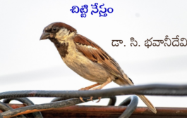 చిట్టి నేస్తం