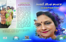 ప్రేమకై తపించే ఆధునిక యువతి జీవితం - ‘ఎందుకే నీకింత తొందరా..?’ నవల