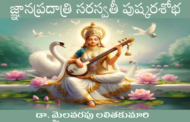జ్ఞానప్రదాత్రి సరస్వతీ పుష్కరశోభ
