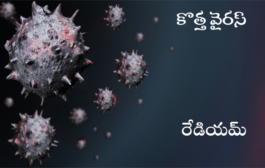 కొత్త వైరస్