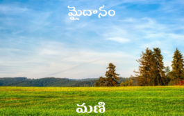 మైదానం