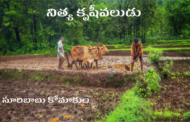 నిత్య కృషీవలుడు