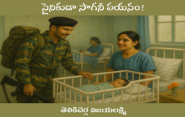 సైనికుడా సాగనీ పయనం!