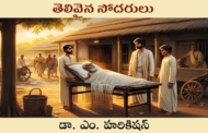 తెలివైన సోదరులు