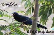విశ్వావసు