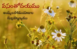 వసంతోదయము