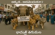 అక్కడ.. అడవెందుకూ?
