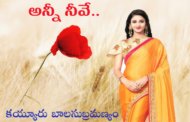 అన్నీ నీవే..