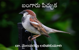 బంగారు పిచ్చుక