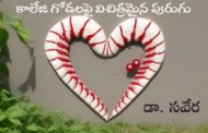 కళాశాల గోడలపై విచిత్రమైన పురుగు
