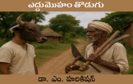 ఎద్దుమొహం తొడుగు
