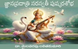 జ్ఞానప్రదాత్రి సరస్వతీ పుష్కరశోభ