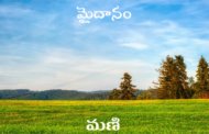 మైదానం
