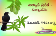 విశ్వాస ప్రతీక - విశ్వావసు